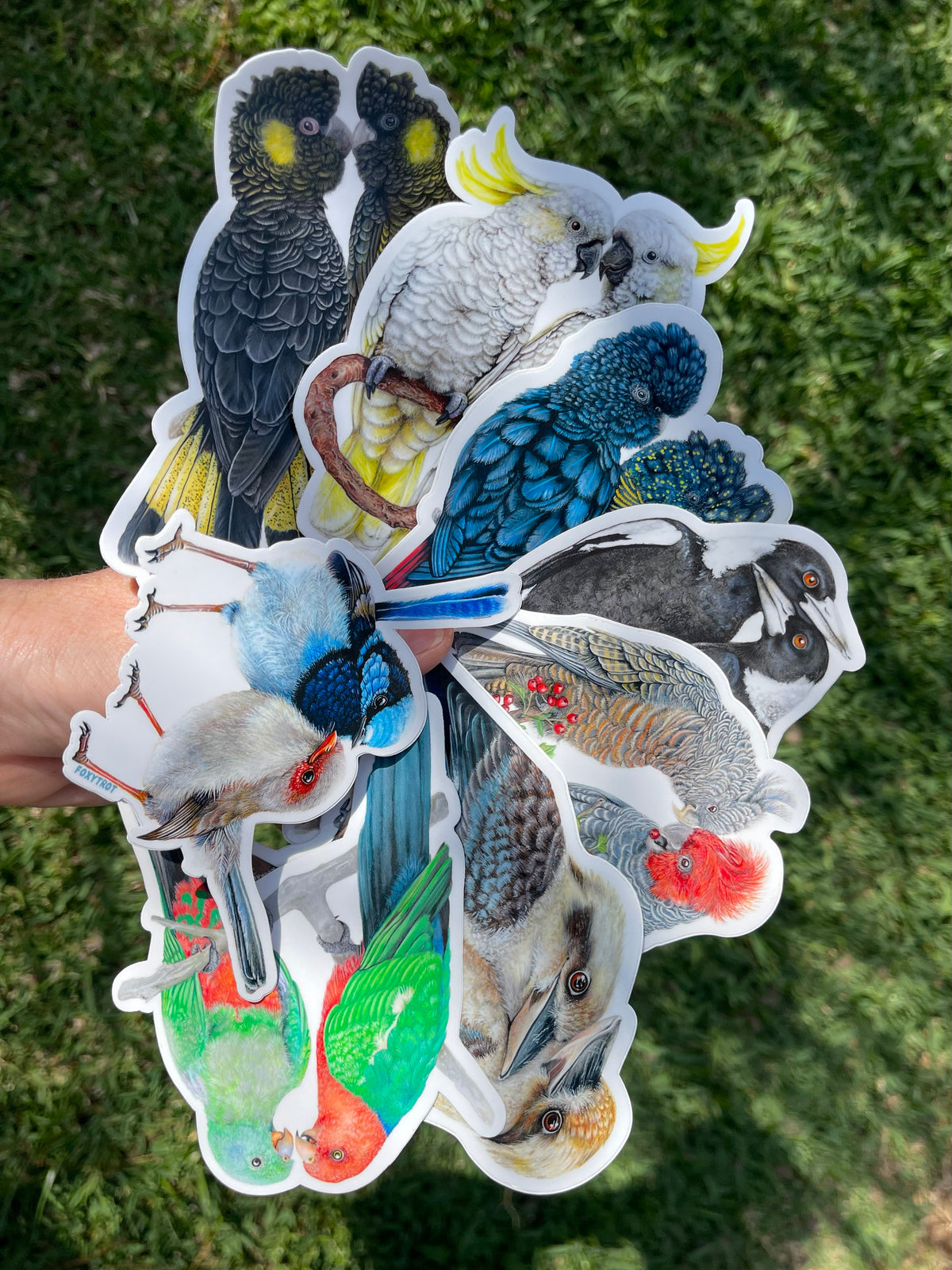 "Love Bird" pack of 8 Vinyl Stickers