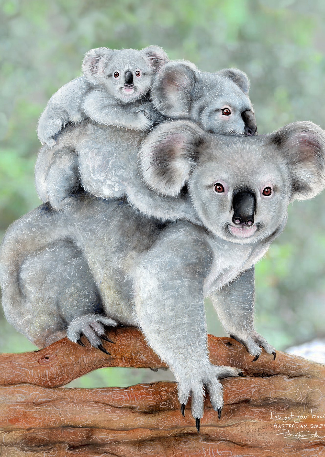 I've Always Got Your Back! Koala Family