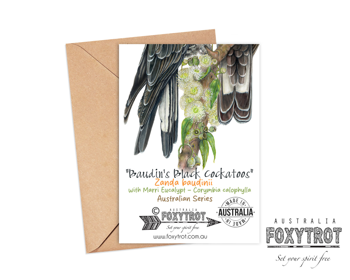 Baudin's Black Cockatoos Card