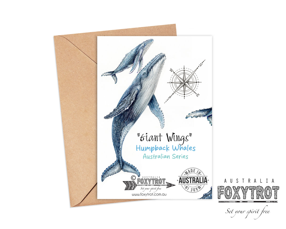 Humpback whales Card