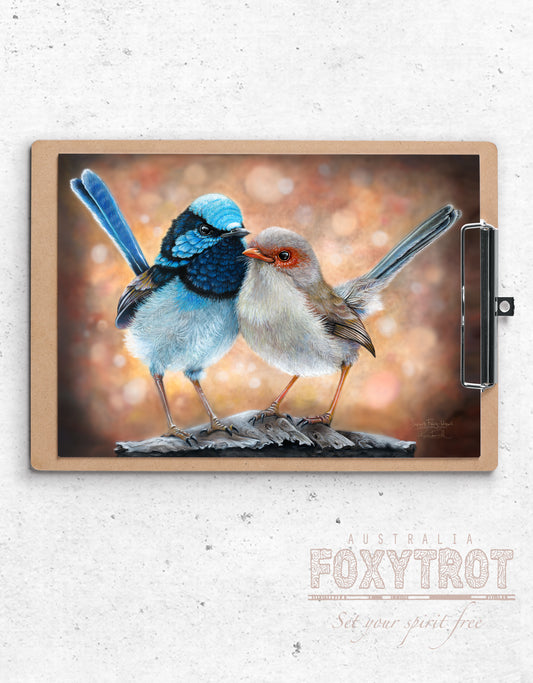 Superb Fairy Wrens