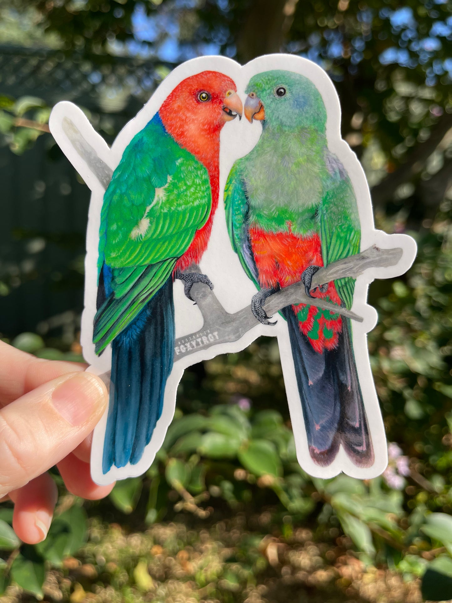 King Parrots Vinyl Sticker