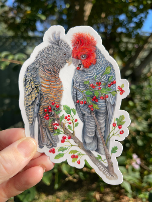 Gang Gang Cockatoos Vinyl Sticker