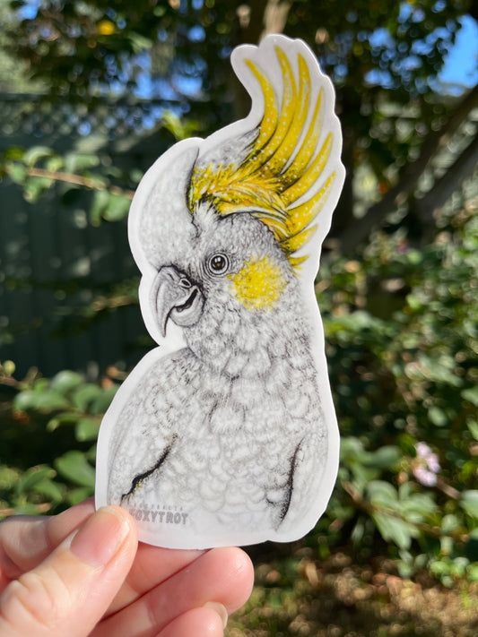 Sulphur Crested White Cockatoo Vinyl Sticker LIMITED EDITION
