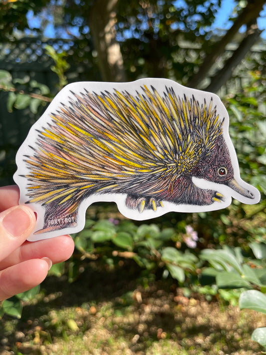 Echidna Vinyl Sticker