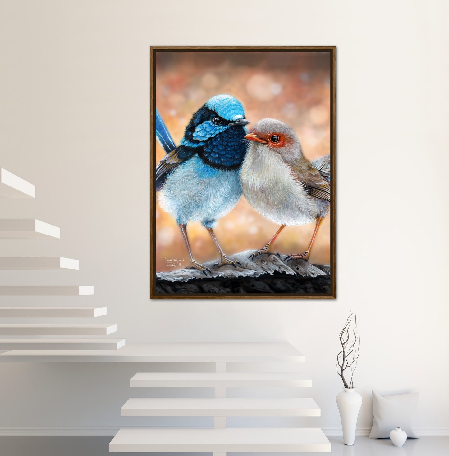 Superb Fairy Wrens