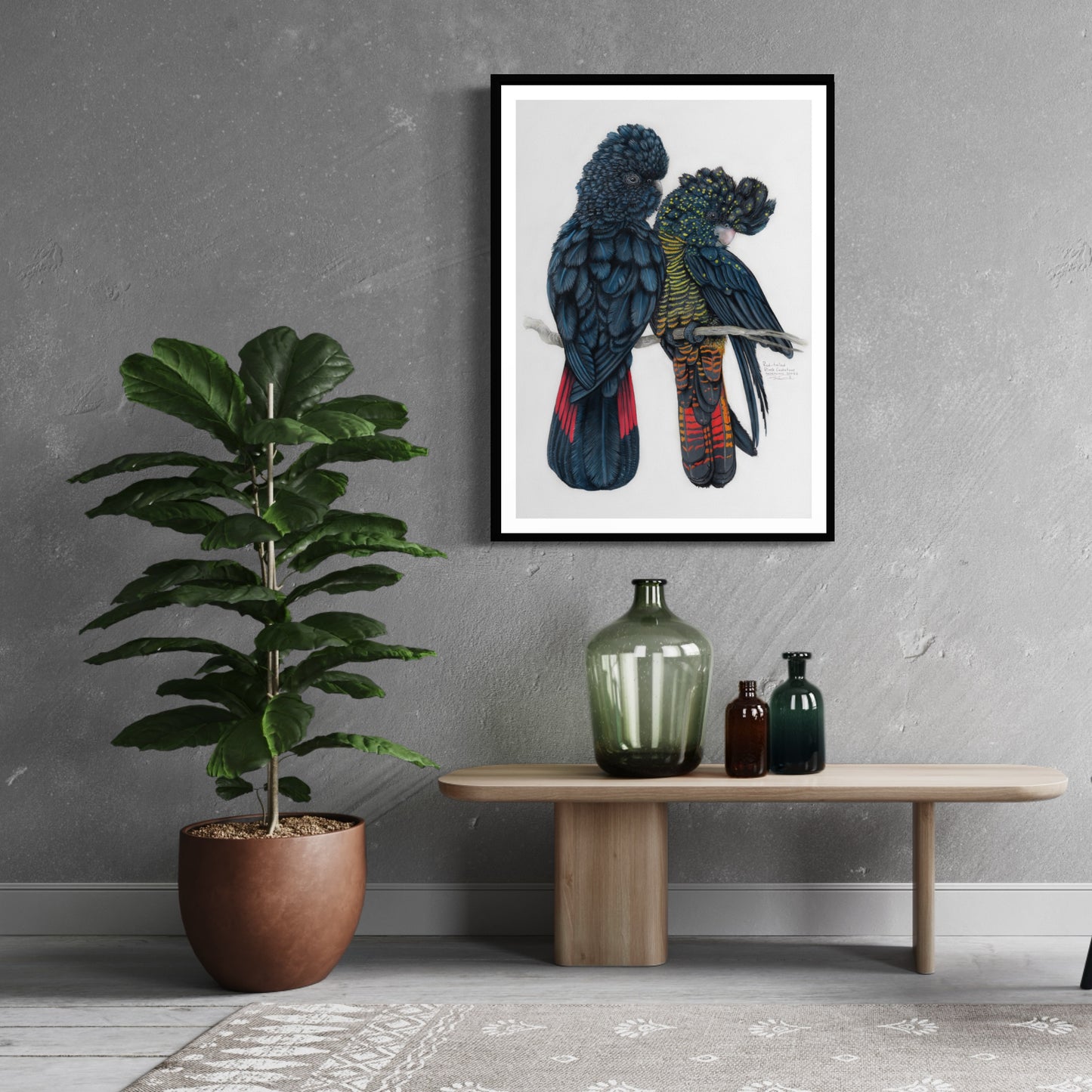 Red Tailed Black Cockatoos