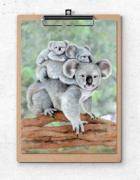 I've Always Got Your Back! Koala Family