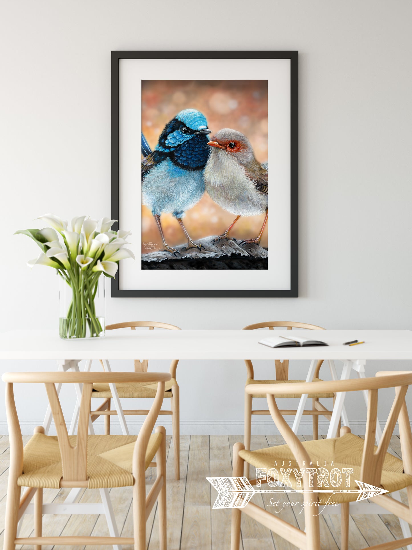 Superb Fairy Wrens
