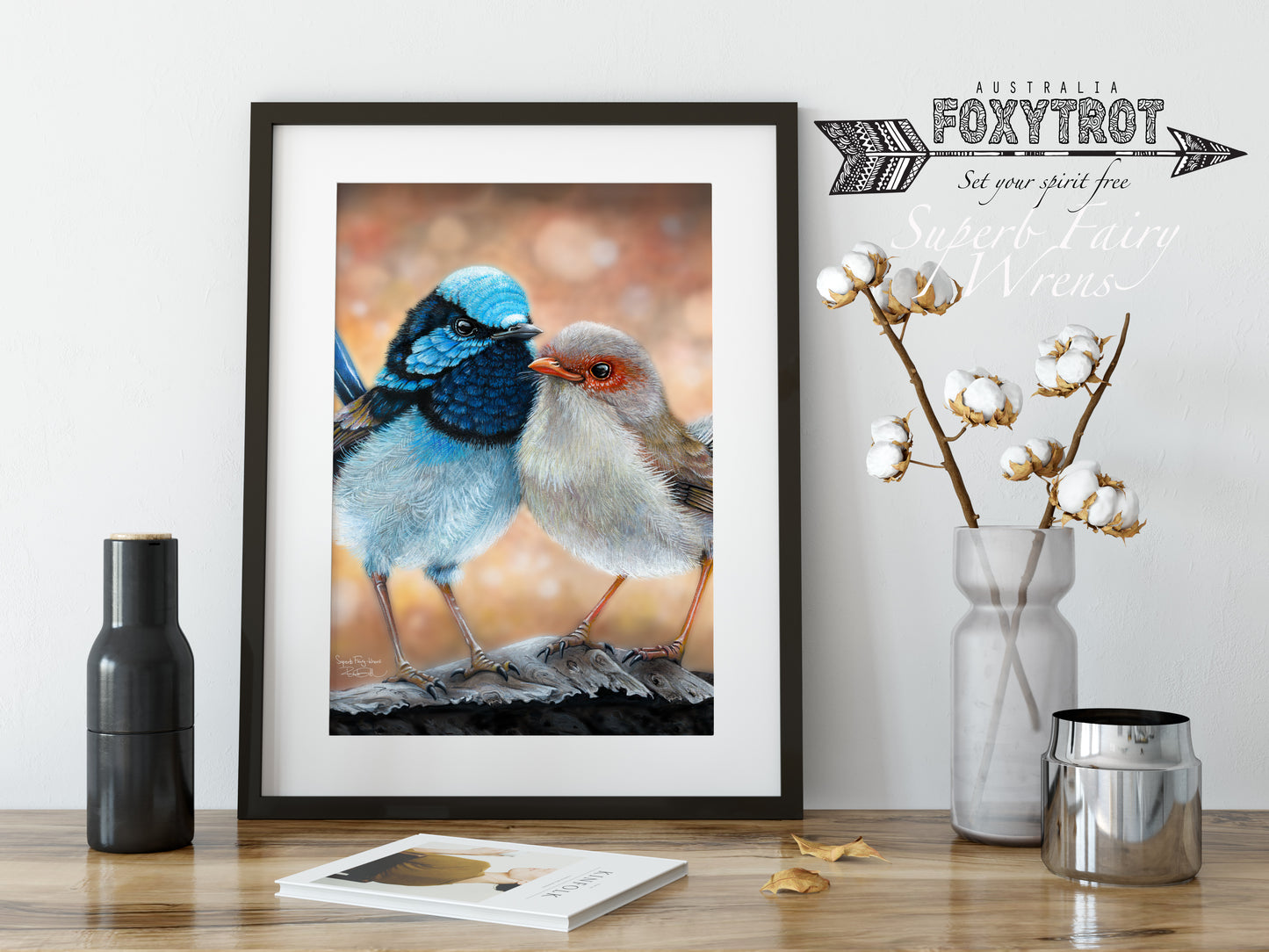 Superb Fairy Wrens