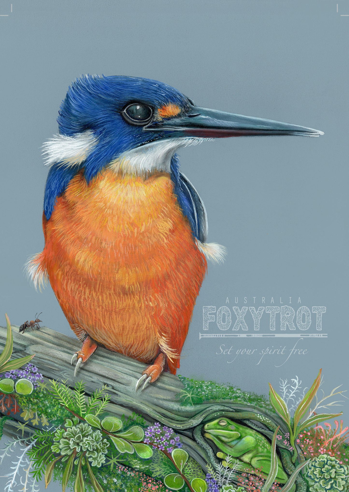 Azure Kingfisher
