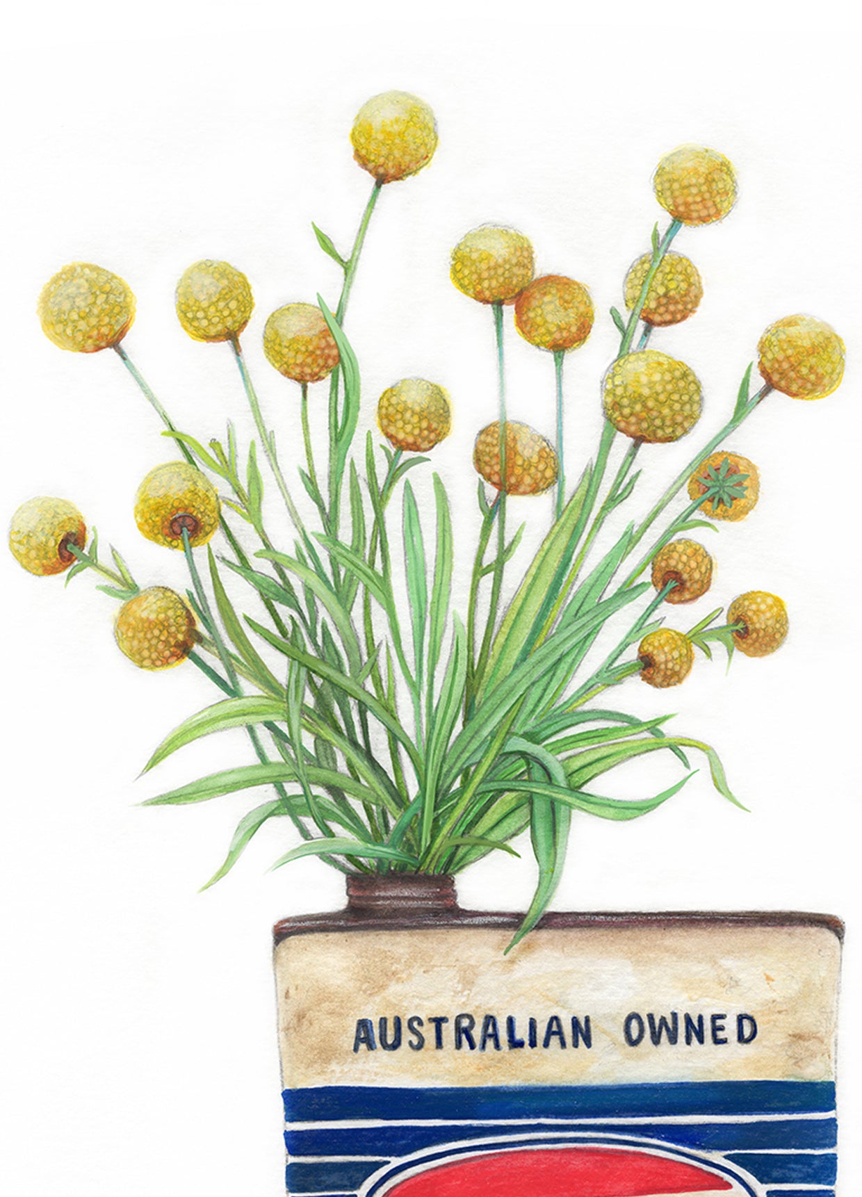 Ampol Motor Oil & Billy Buttons