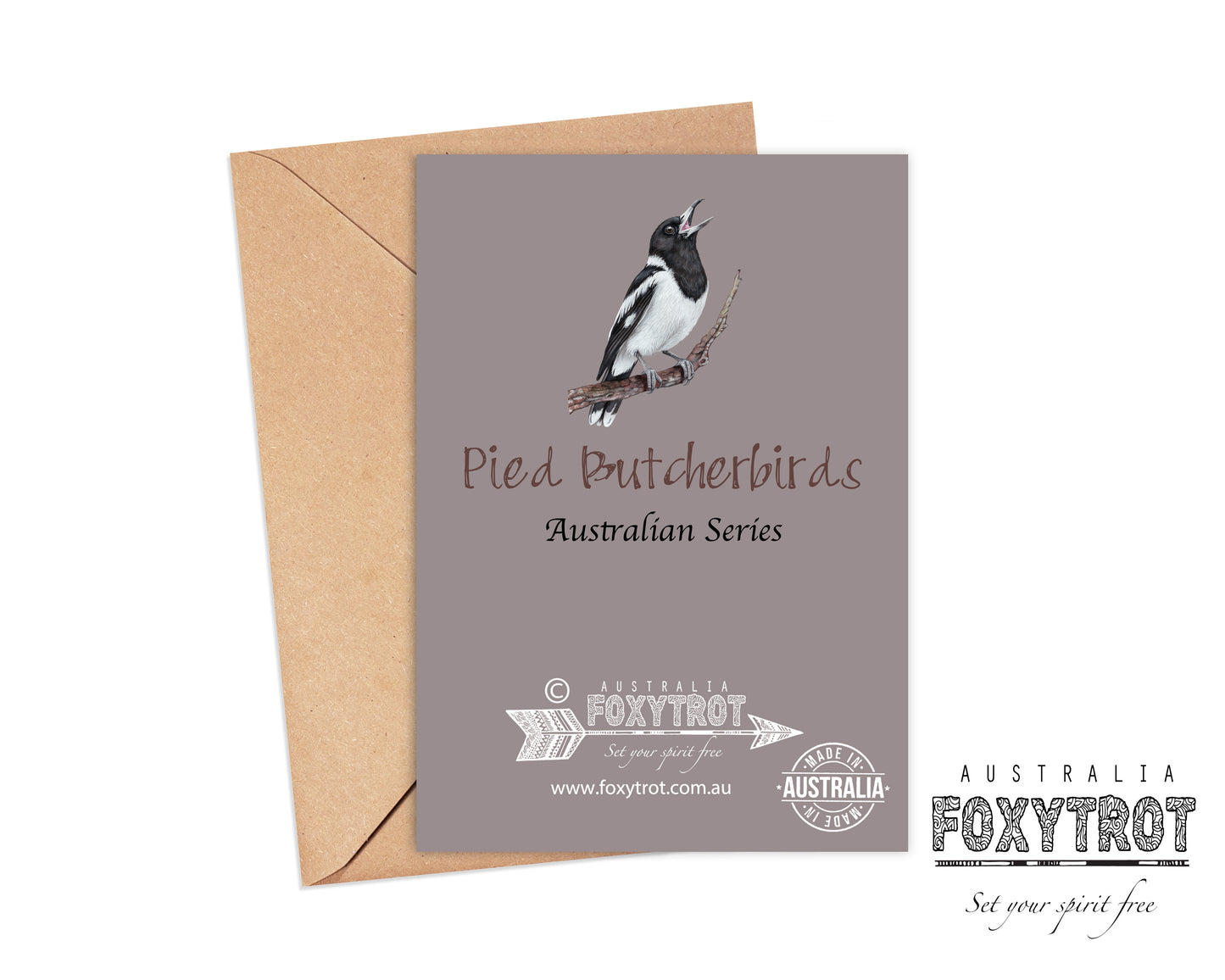 Pied Butcherbirds Card