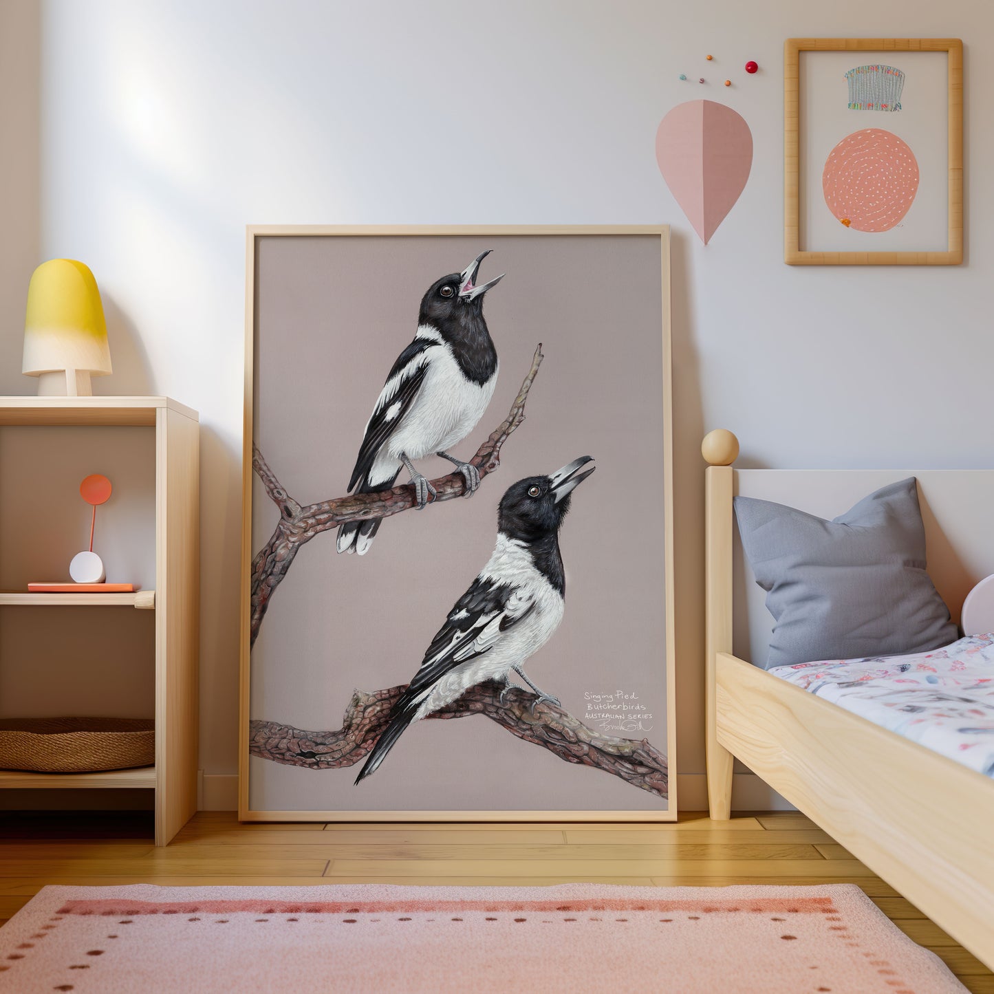 Pied Butcherbirds