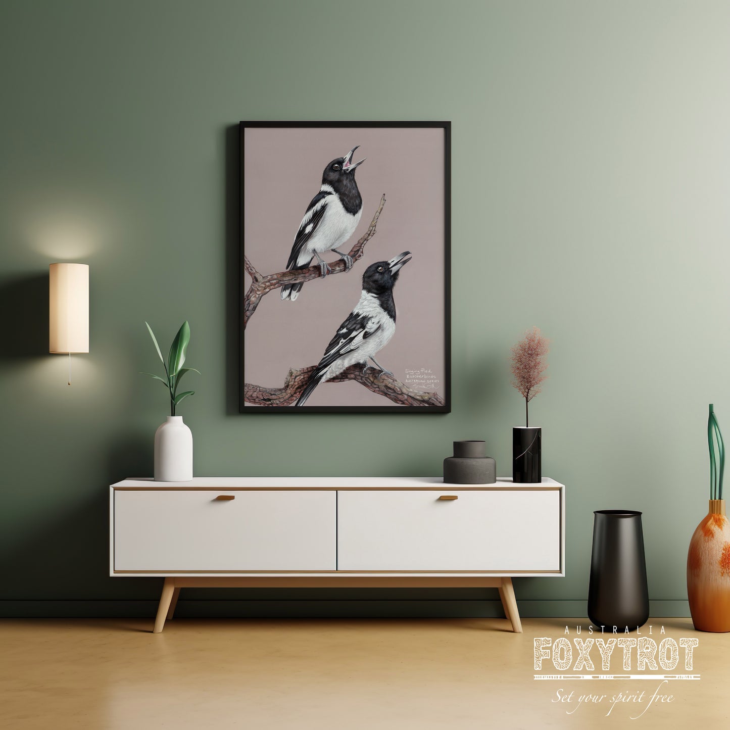 Pied Butcherbirds