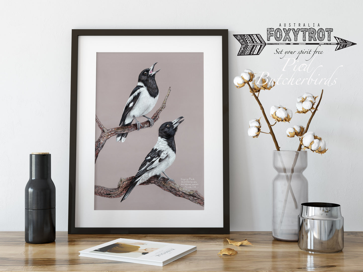 Pied Butcherbirds