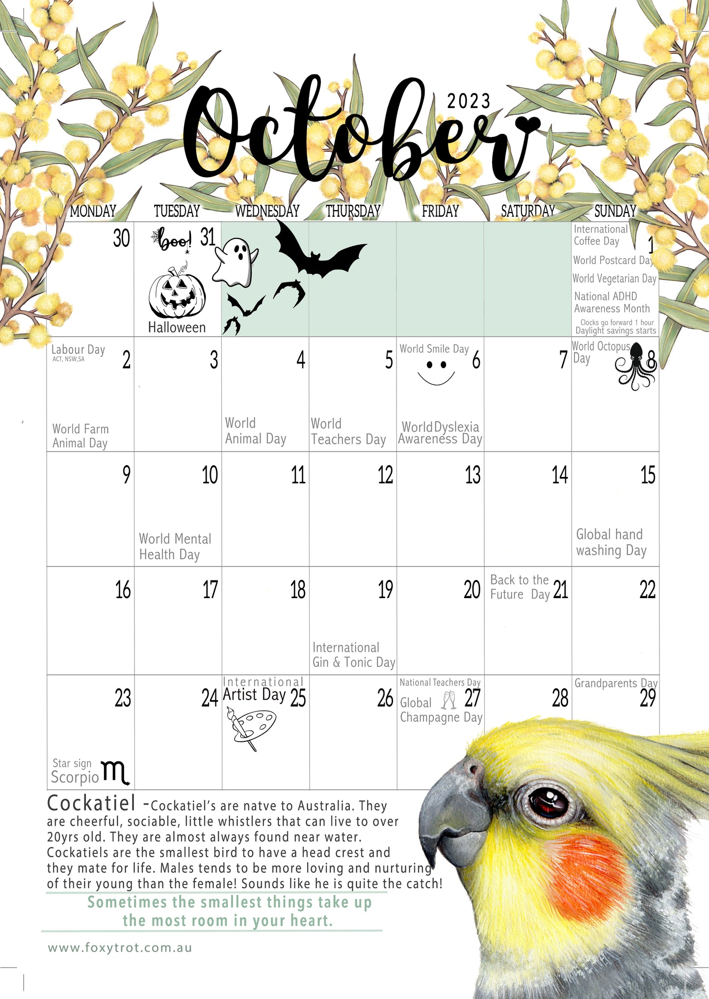 Bill the Cockatiel