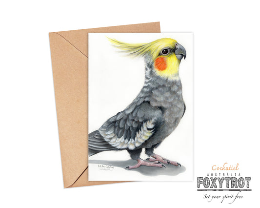 Bill the Cockatiel Card