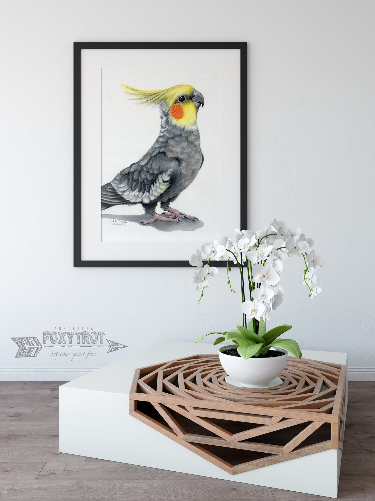 Bill the Cockatiel