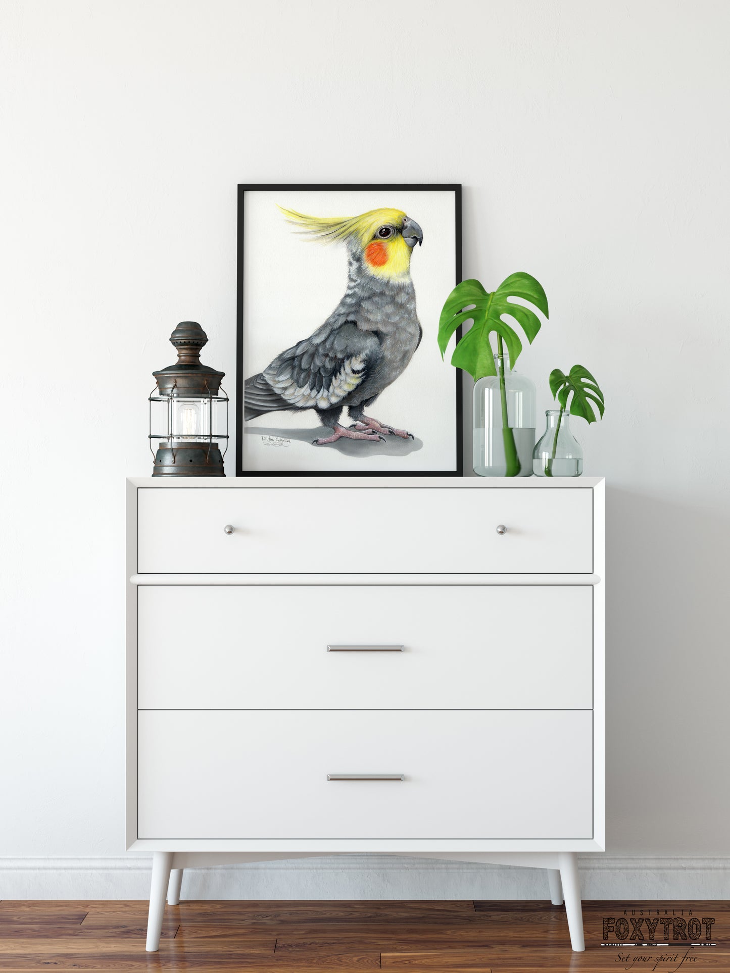 Bill the Cockatiel