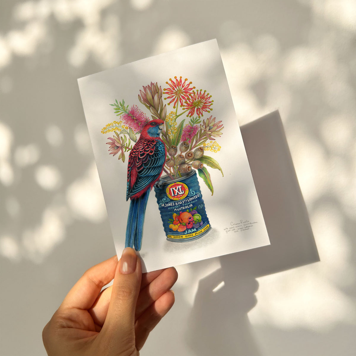Crimson Rosella Card