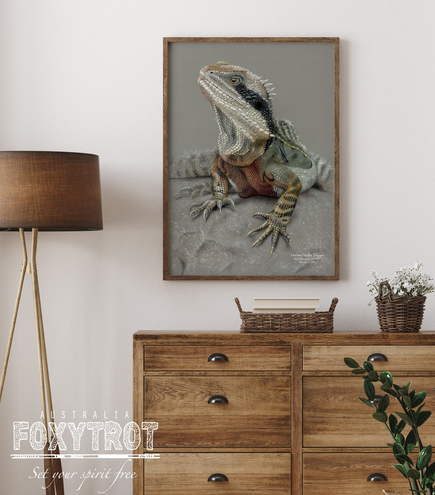Eastern Water Dragon