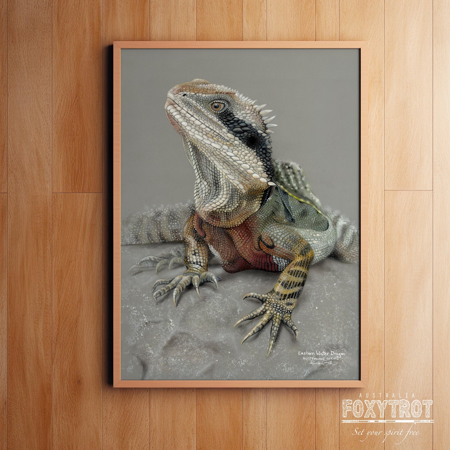 Eastern Water Dragon