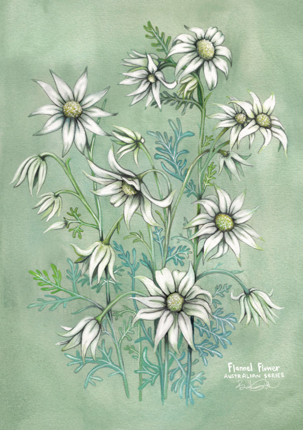 Flannel Flower A5 Notebook