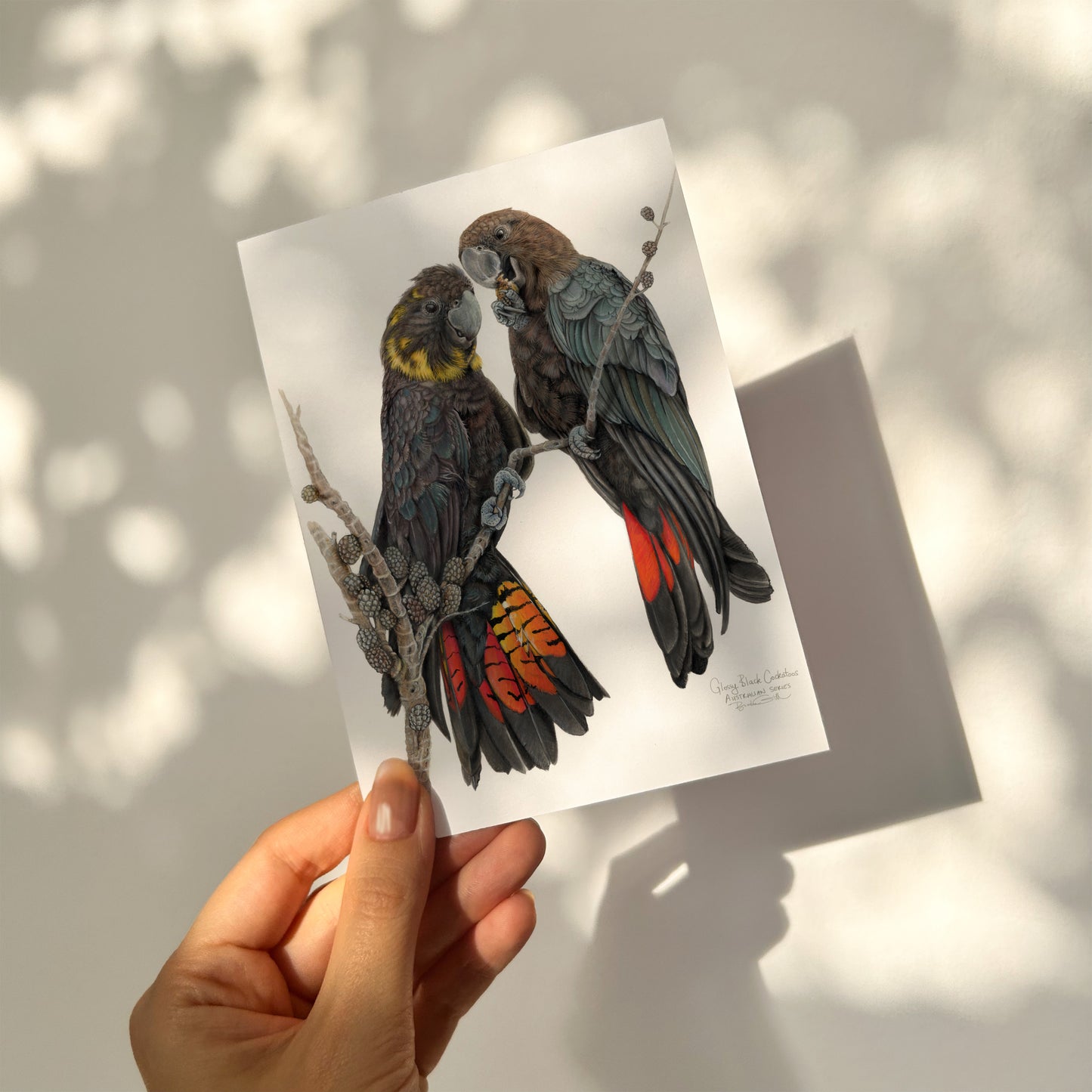 Glossy Black Cockatoos Card