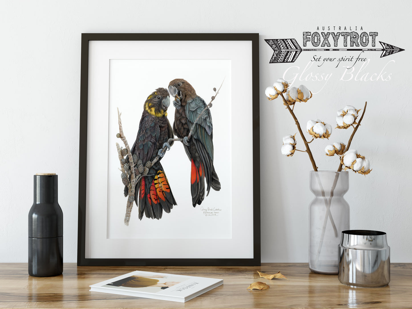 Glossy Black Cockatoos