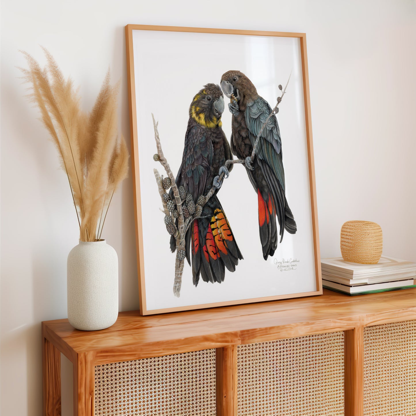 Glossy Black Cockatoos