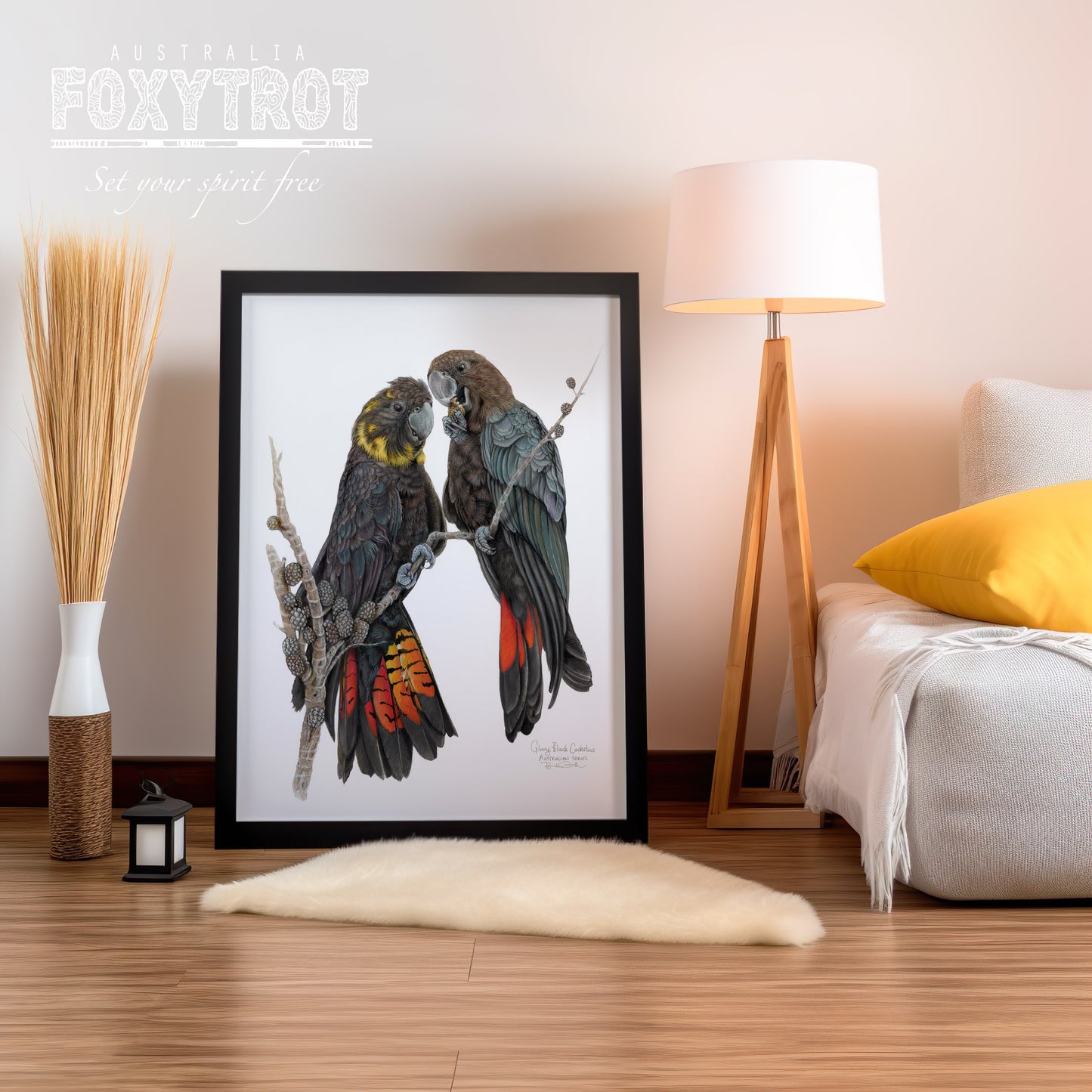 Glossy Black Cockatoos