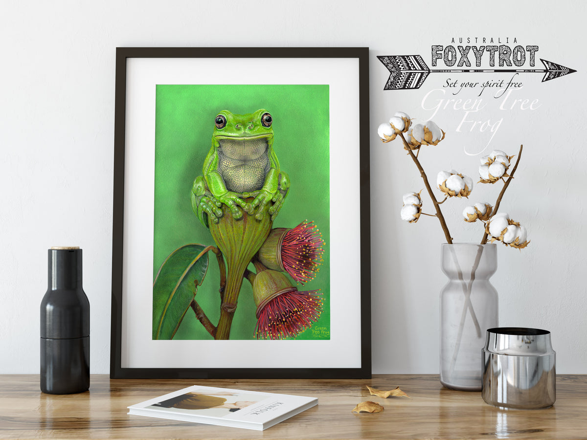 Green Tree Frog