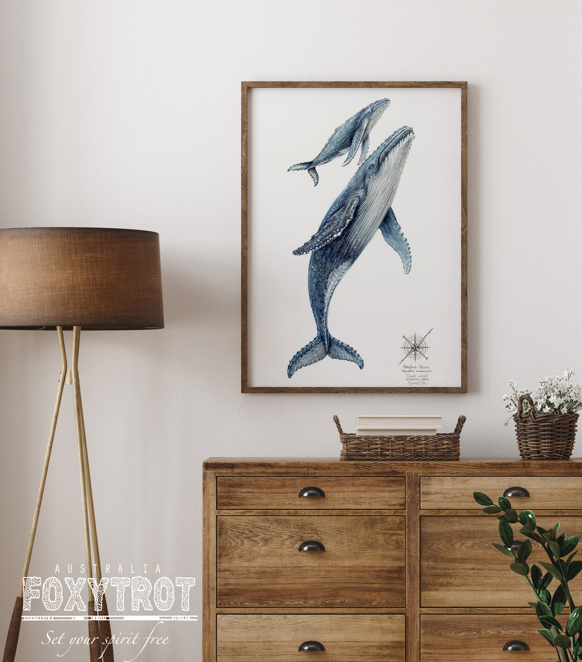 Humpback Whales