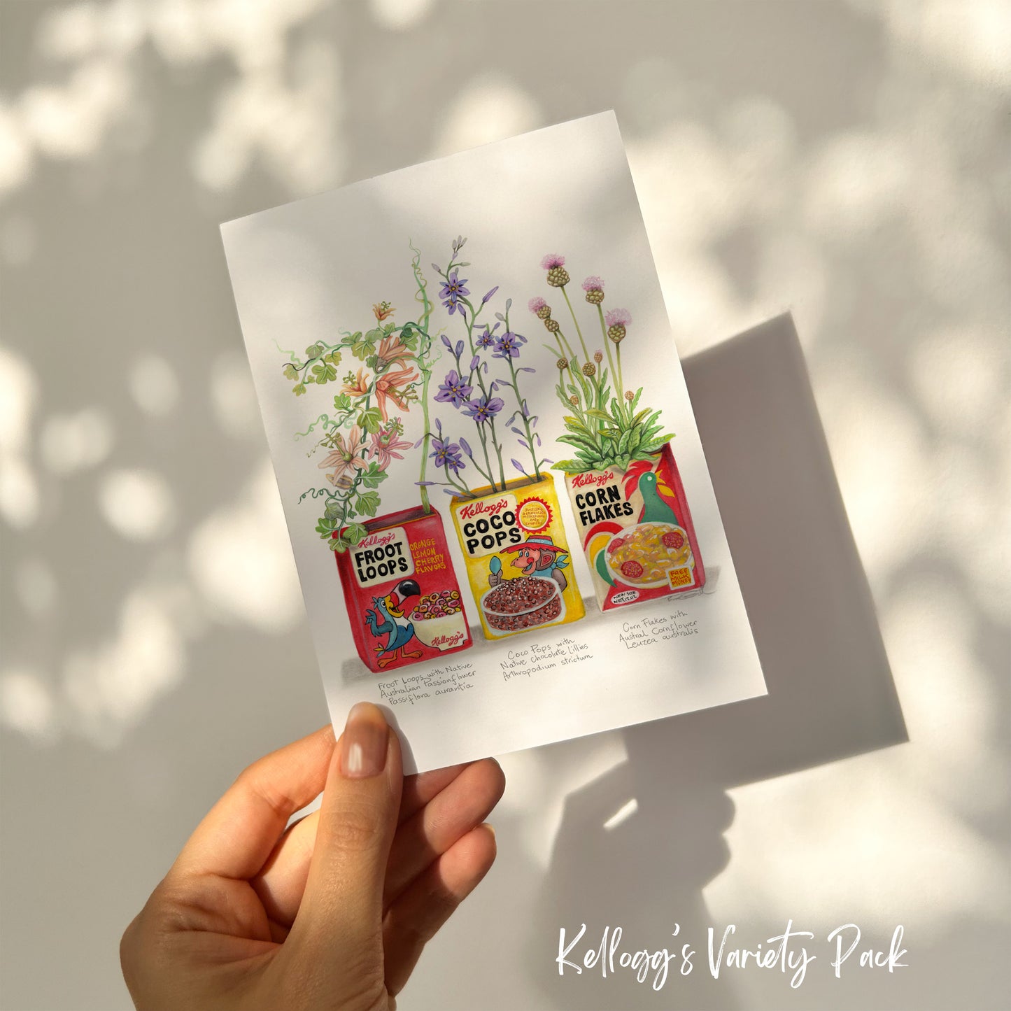 Kellogg's Variety Pack Card