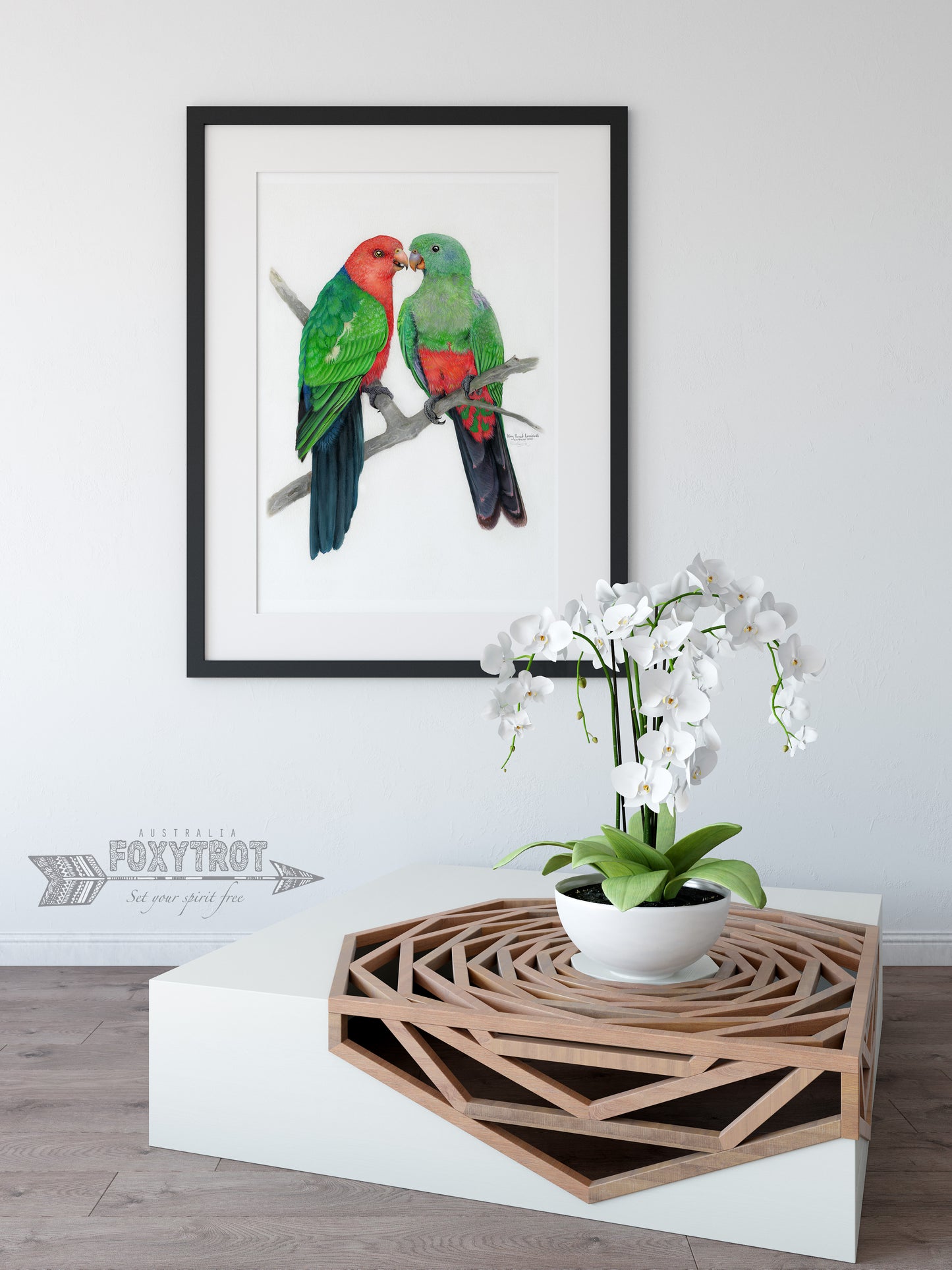 King Parrot Lovebirds