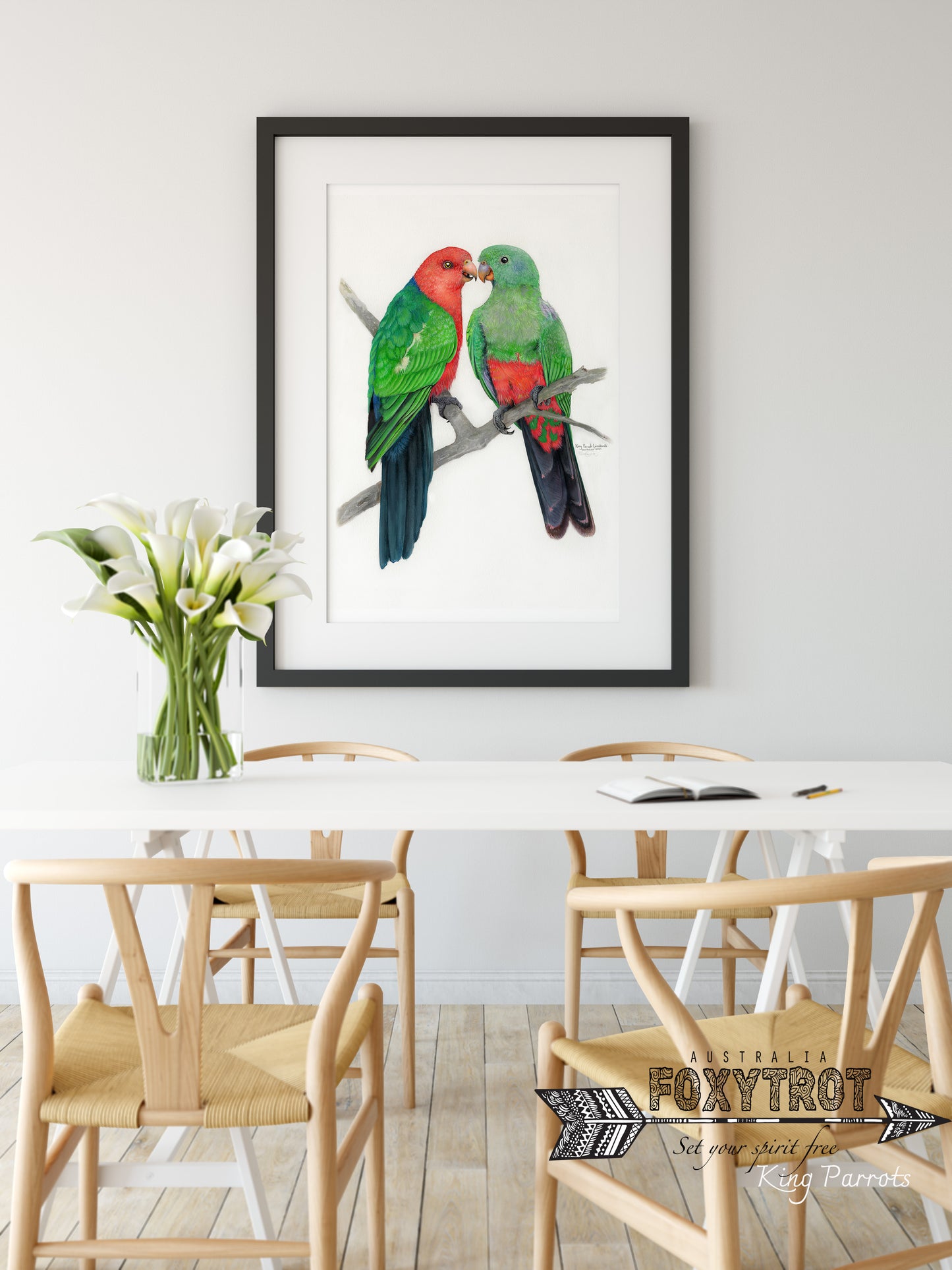 King Parrot Lovebirds