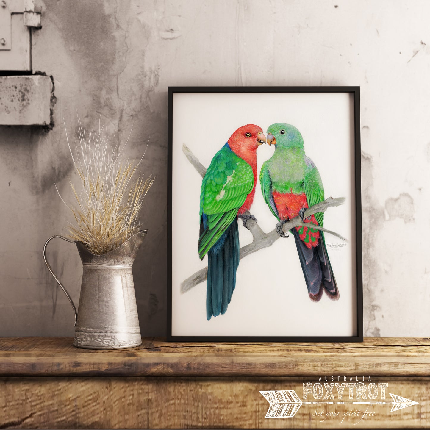 King Parrot Lovebirds