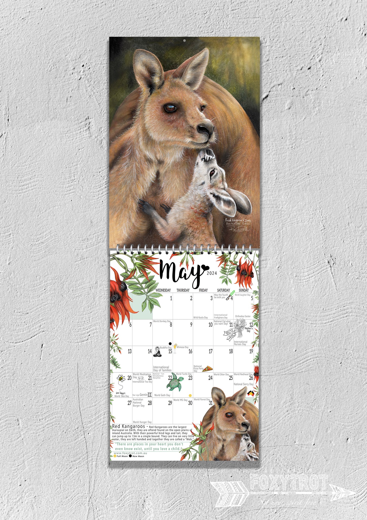Red Kangaroo and Joey