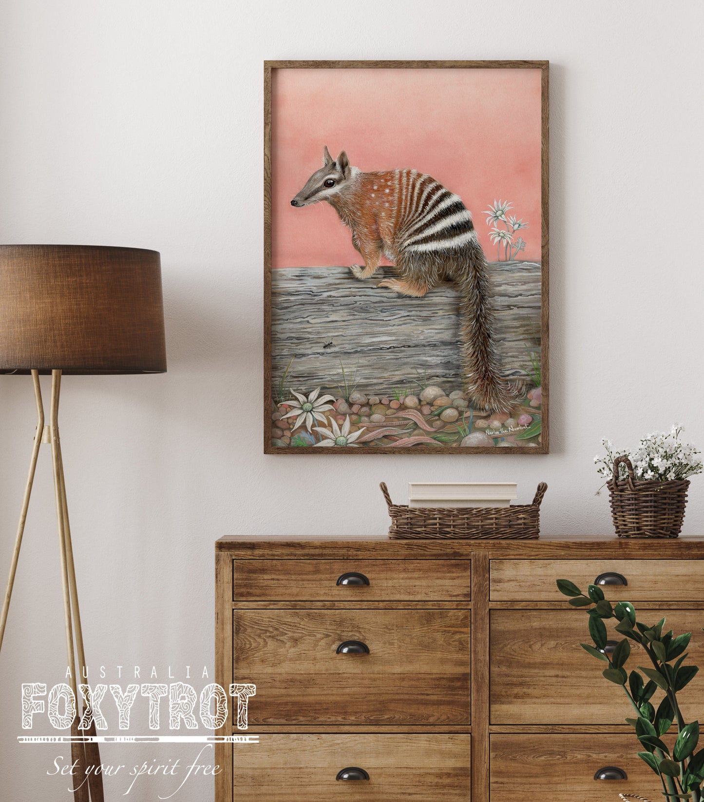 Narloo the Numbat