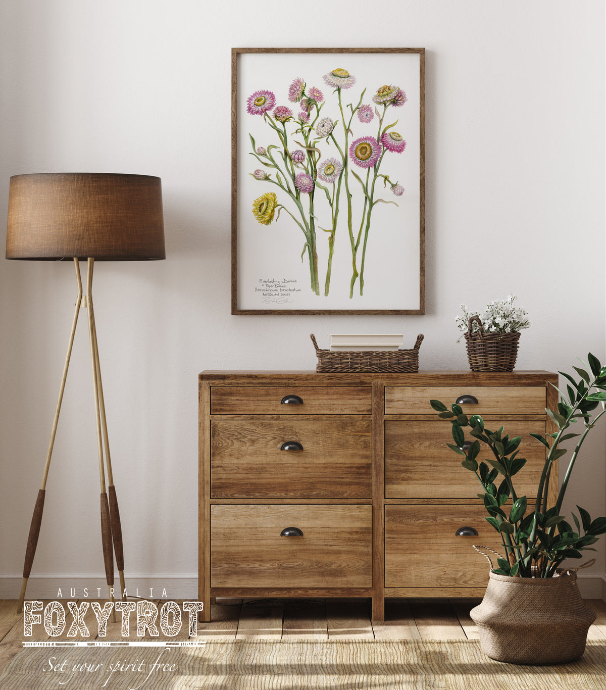 Paper Daisies