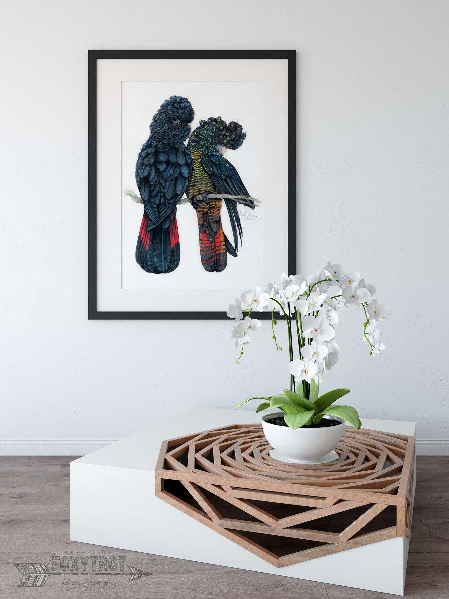 Red Tailed Black Cockatoos