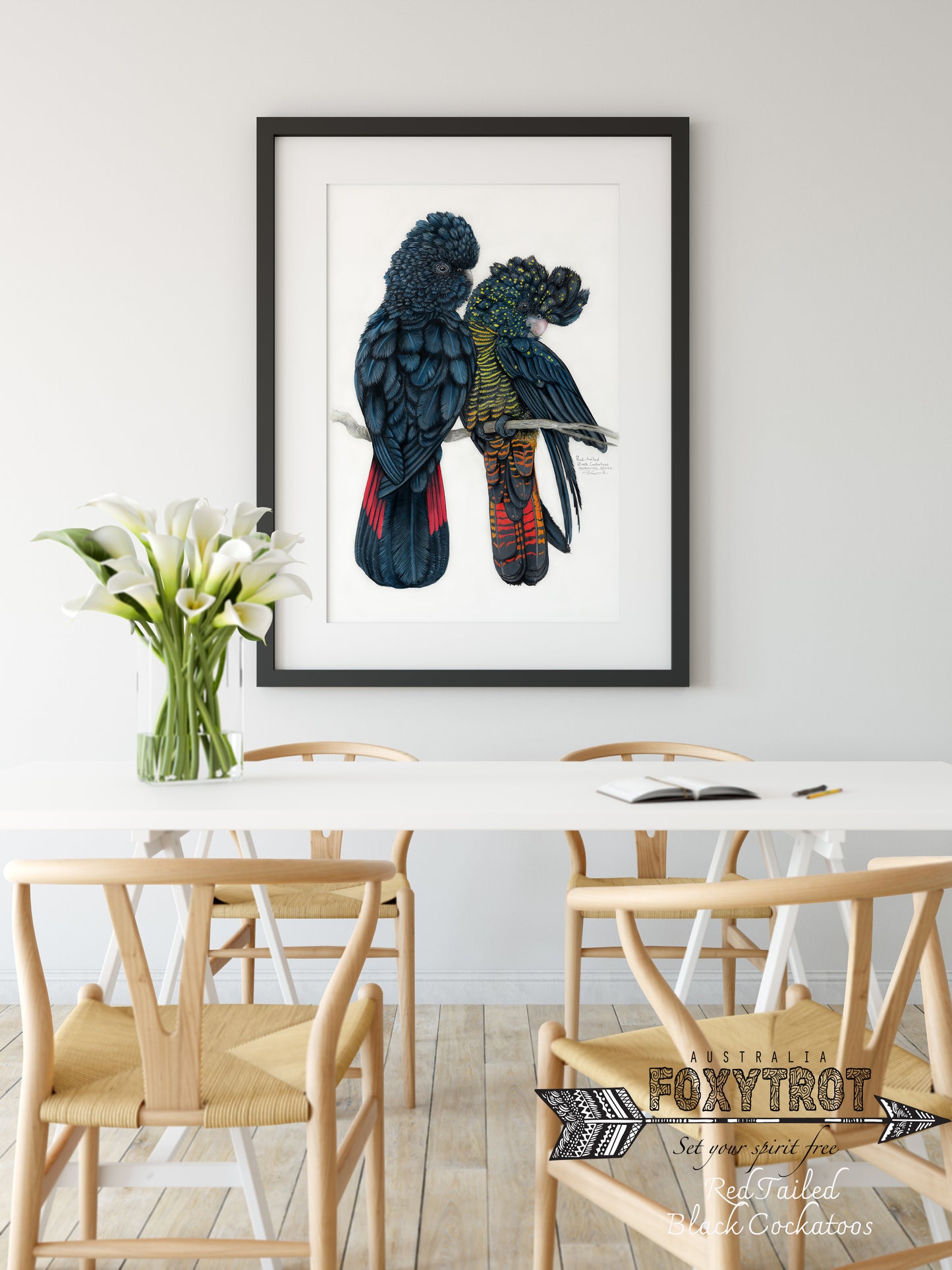 Red Tailed Black Cockatoos