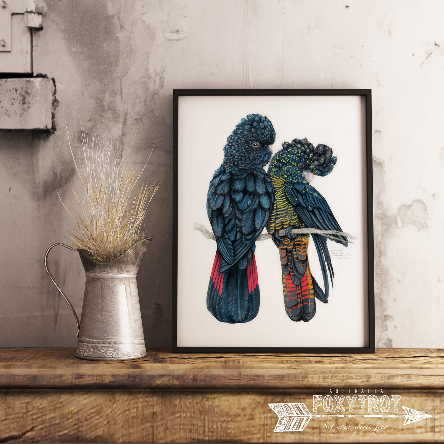 Red Tailed Black Cockatoos