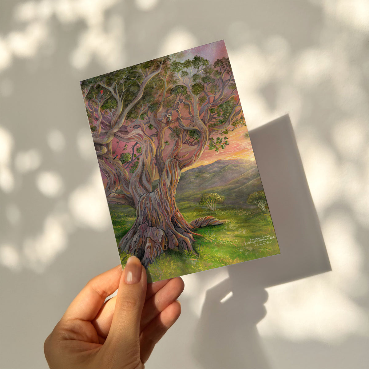 Snow Gum Sunset Card