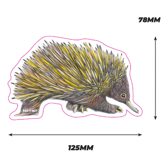 Echidna Vinyl Sticker