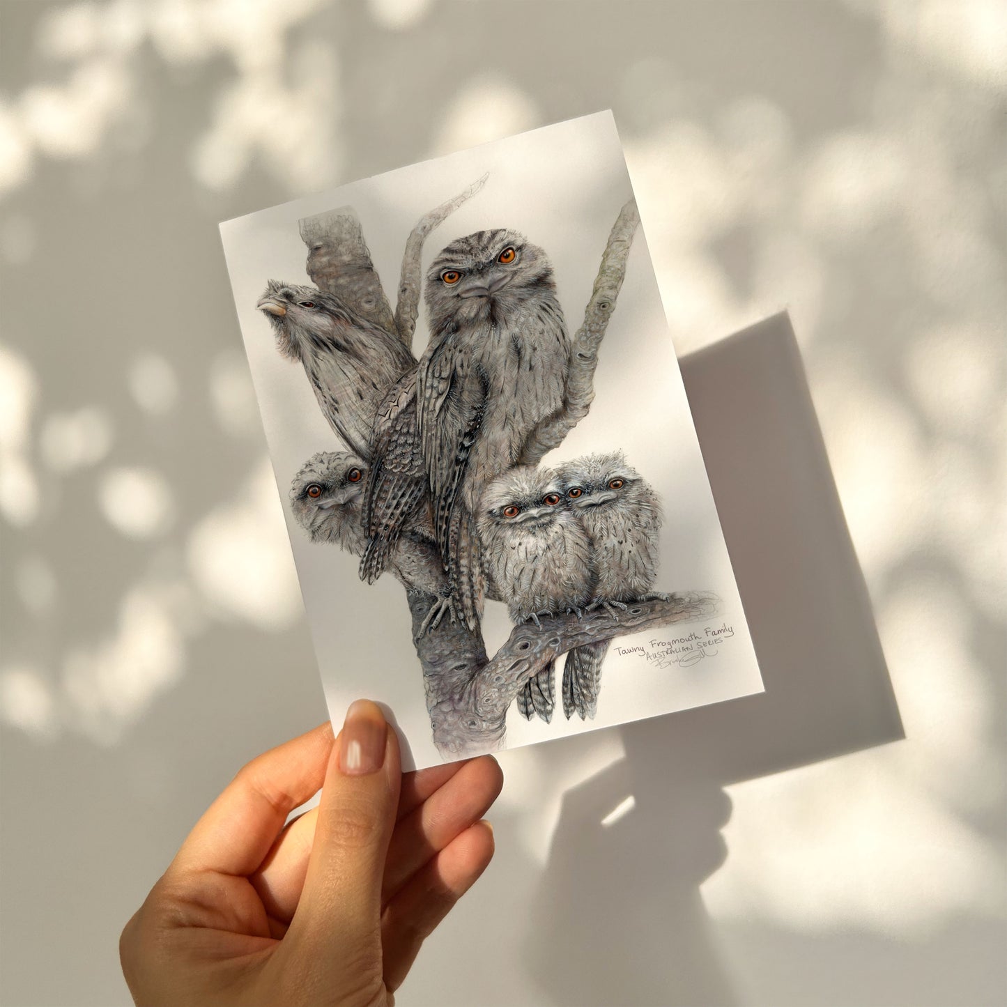 Tawny Frogmouth Card