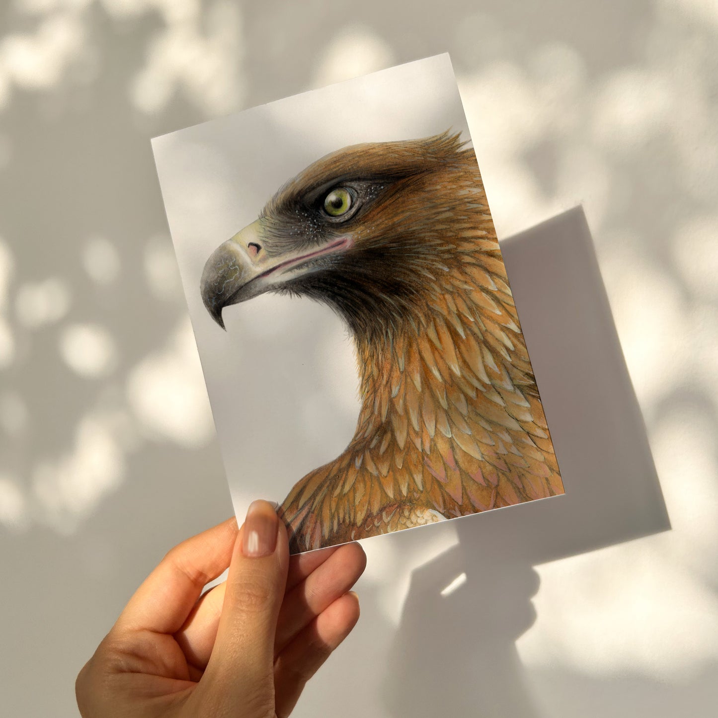 Wedge-Tailed Eagle Card