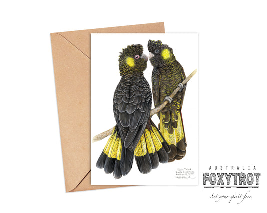 "Ngaoaraa" - Yellow Tailed Black Cockatoos Card