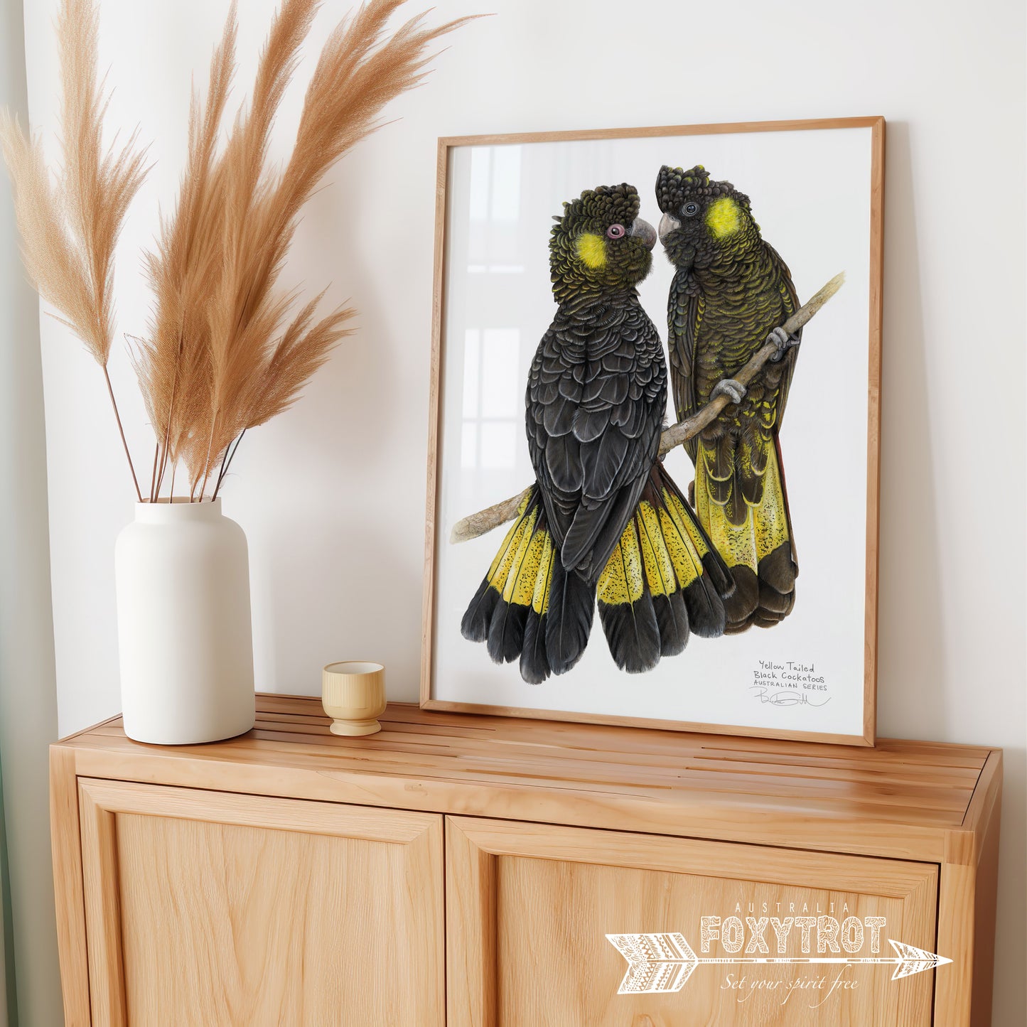 Yellow Tailed Black Cockatoos
